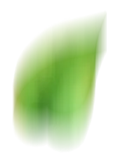 Leaf Decoration