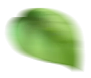 Leaf Decoration